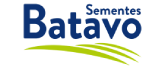 Sementes Batavo